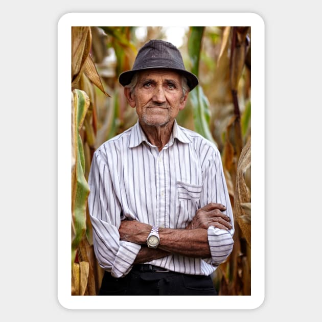 Old man at corn harvest Sticker by naturalis